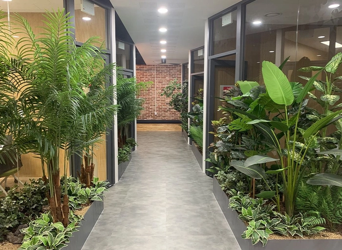 카이어-소프트웨어 개발