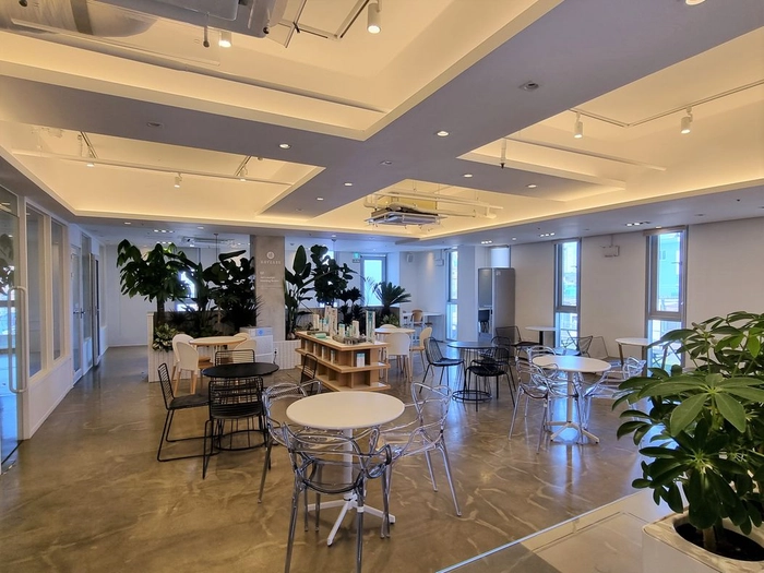 해브앤비(닥터자르트)-Global Brand Operations