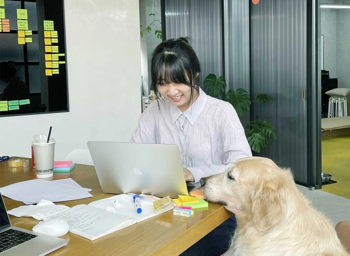 해리-글로벌 SEO 전문가 (2년 이상)