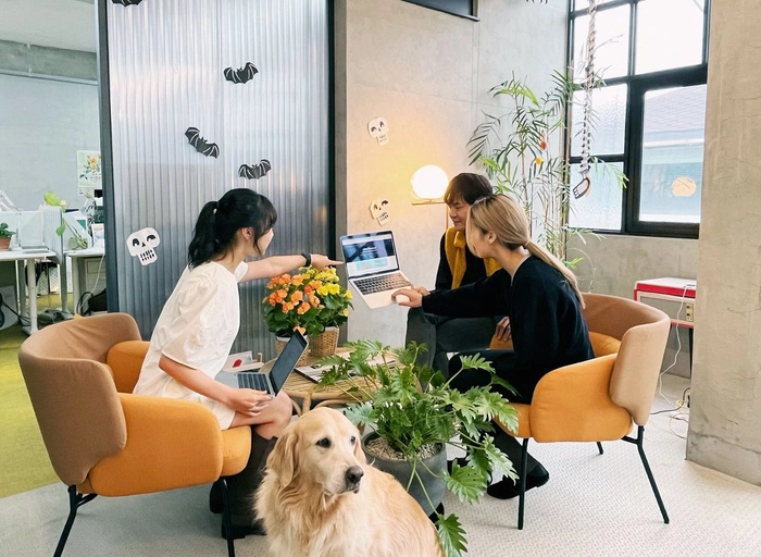 해리-글로벌 SEO 전문가 (2년 이상)