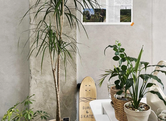 해리-글로벌 SEO 전문가 (2년 이상)