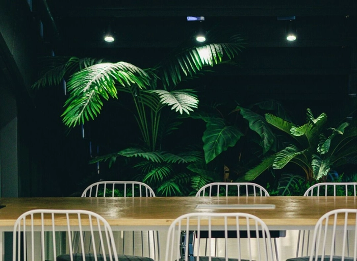 스위치원-Frontend developer 웹 프론트엔드 개발자