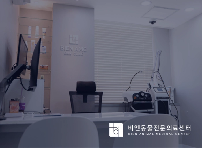 비엔동물전문의료센터-회계 담당자