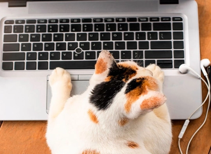 펄송-하드웨어 PM 및 국가 과제(R&D) 관리