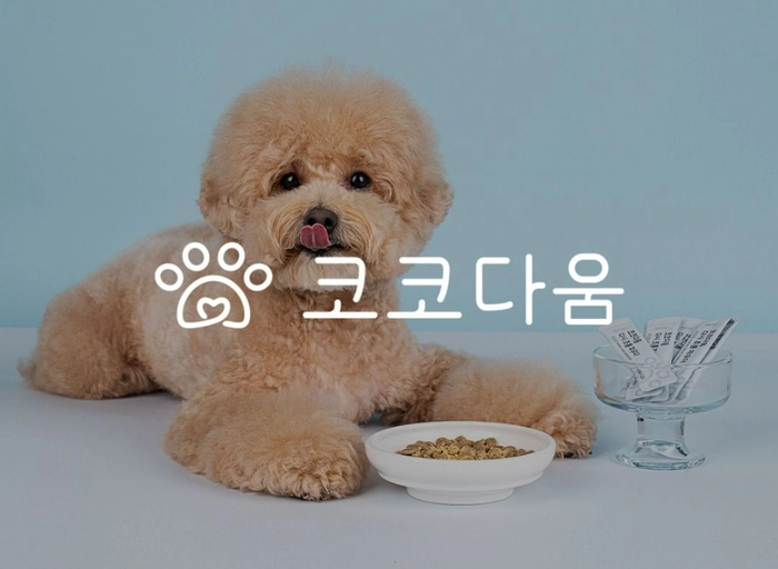 올릿-영상 PD(신입)