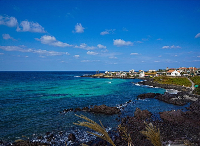 피플밤-플랫폼 운영/영업/CS (0~2년차)