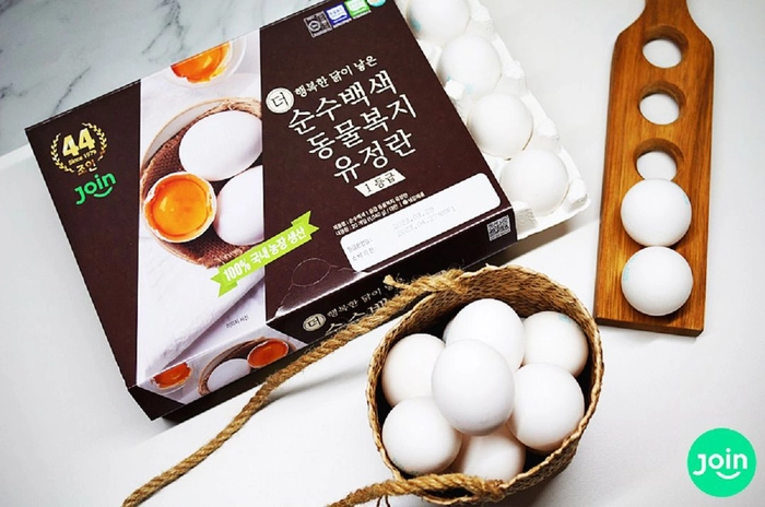 농업회사법인조인-IT팀 ERP 개발자