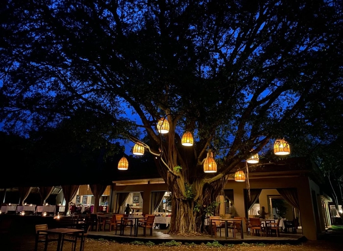 심플사파리(아모트래블)-백엔드 엔지니어