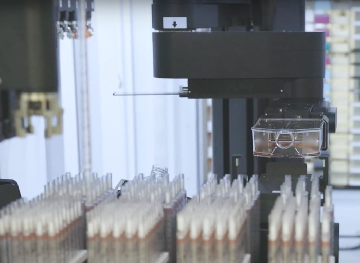 셀틱스테크놀로지-Full-Stack Software Developer