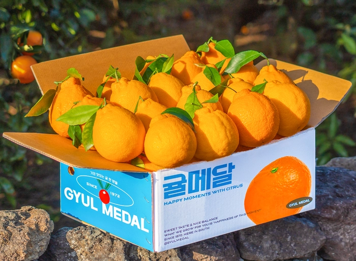 귤메달-오프라인 운영 매니저 (재고관리·오프라인영업)