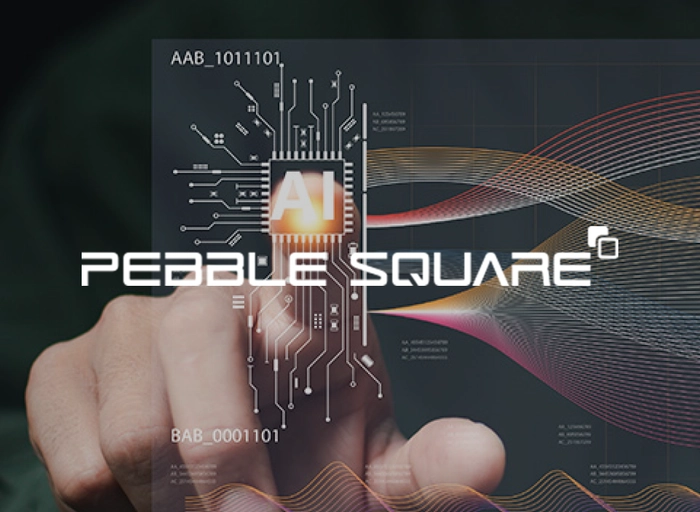 페블스퀘어-Flash/Analog Design Engineer