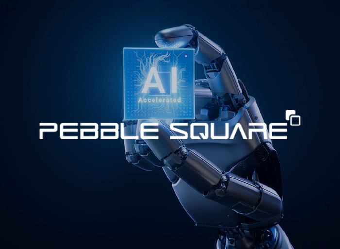 페블스퀘어-Flash/Analog Design Engineer