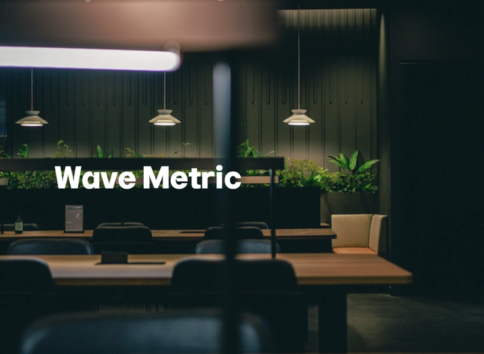웨이브메트릭(WaveMetric)-퍼포먼스 마케터