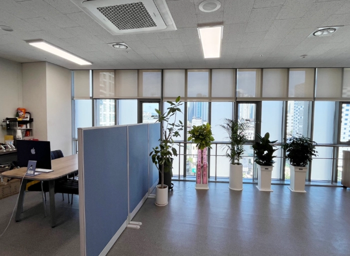 클린디-온라인 커머스 MD