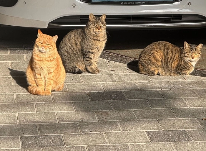 모트모트-온오프라인 커머스 운영관리 MD