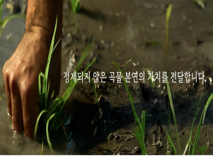 나무컴퍼니-브랜드 디자이너