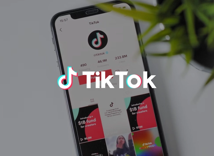 틱톡(TikTok)-Music Creator Growth & Partnerships Manager