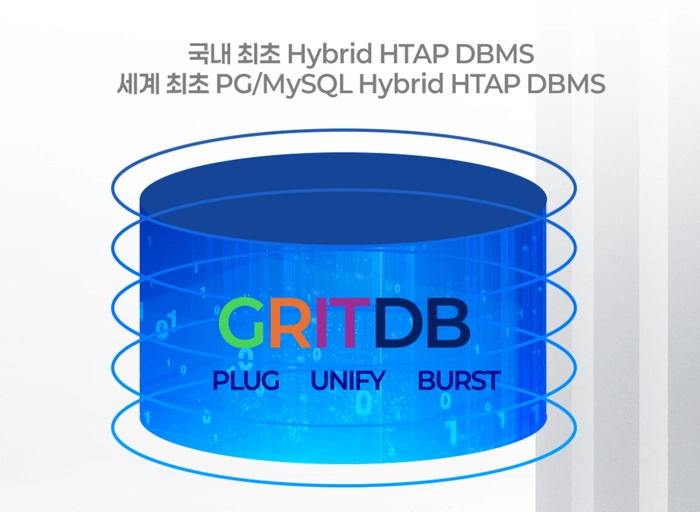 데이터그릿-GritDB 데이터베이스 엔진 GritSurfer 연구 및 개발