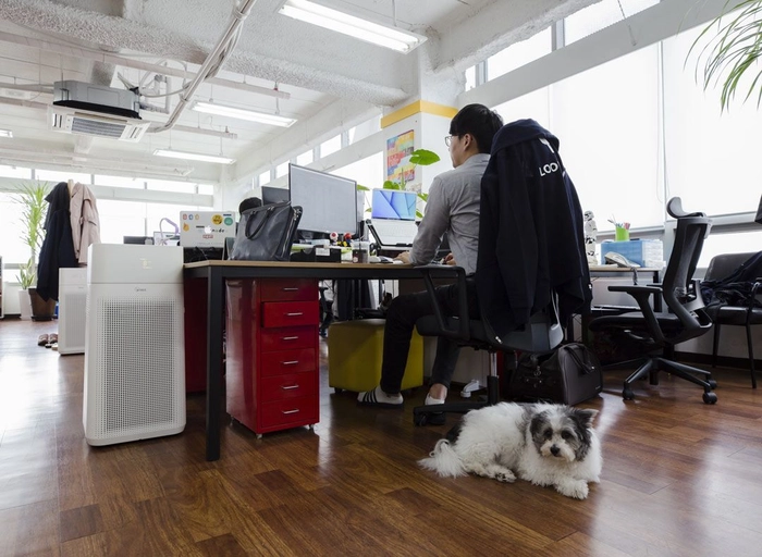 모젯(정오의데이트)-콘텐츠 크리에이터