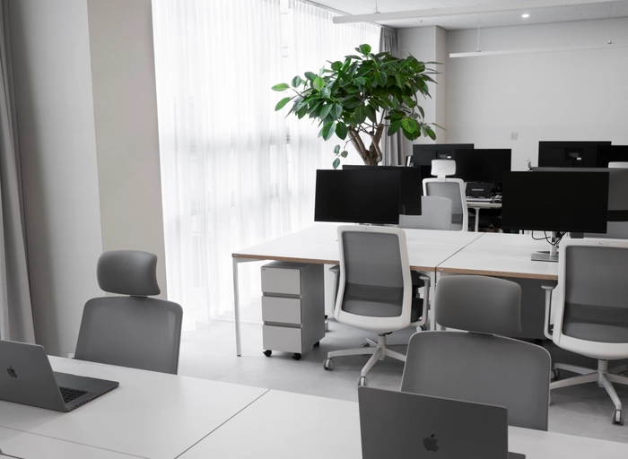 알파브라더스-스타트업 컨설턴트(주니어)