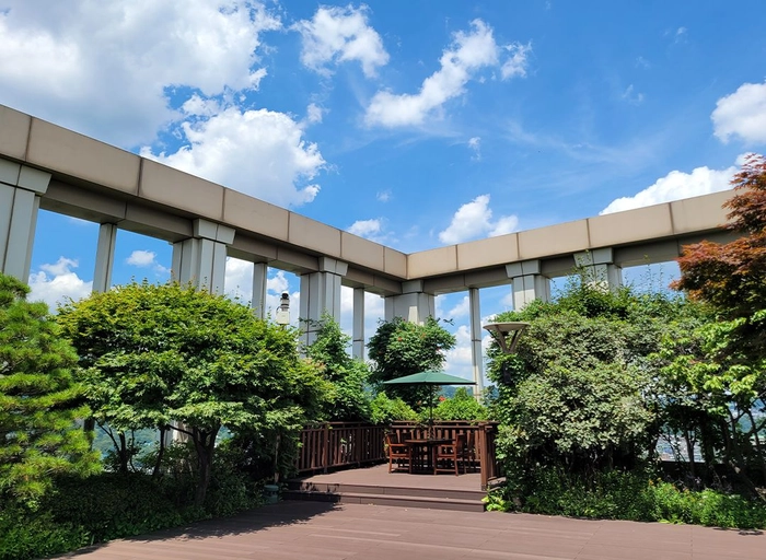 페니로이스-마케팅 관련