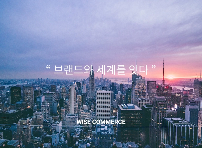 와이즈커머스-글로벌 커머스, 퍼블리셔